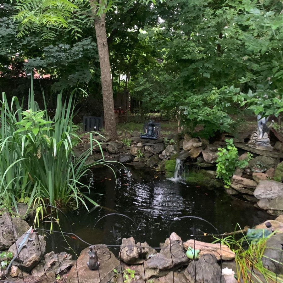 9dda9e95-76e2-420b-aeb4-b94103935a9a-min